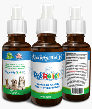 Pet Relief