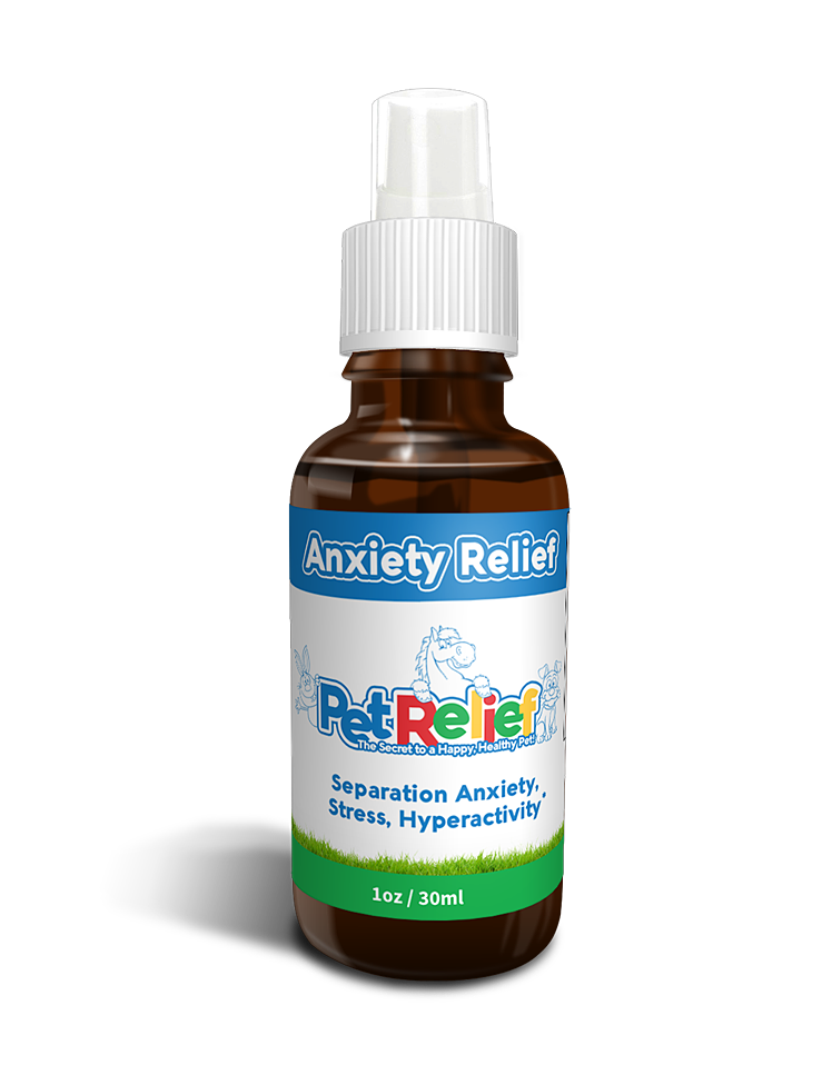 Anxiety Relief