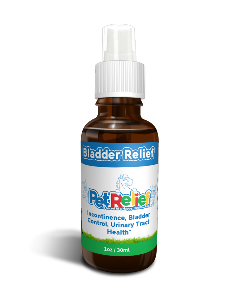 Bladder Relief