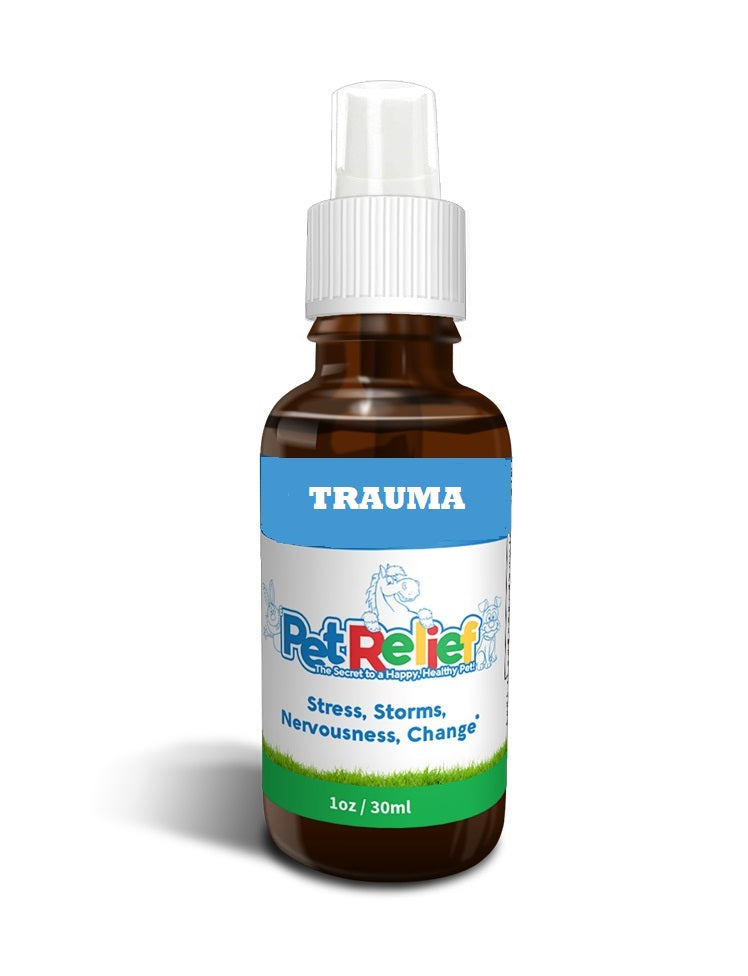 Trauma Relief