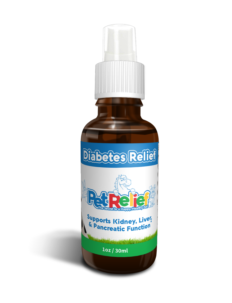 Diabetes Relief