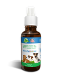 Diabetes Relief