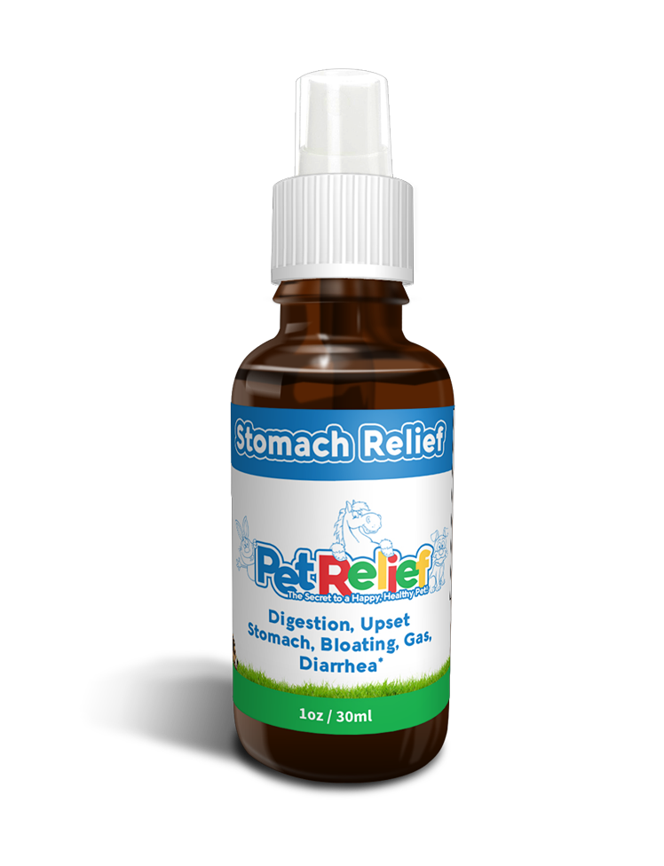 Stomach Relief