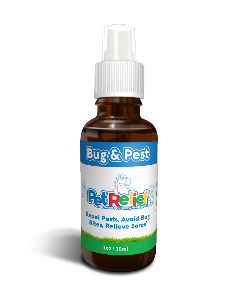Bug & Pest Relief