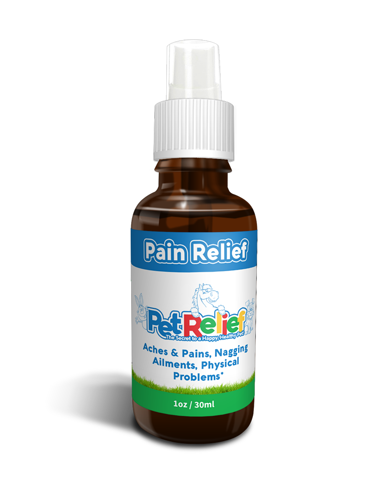 Pain Relief