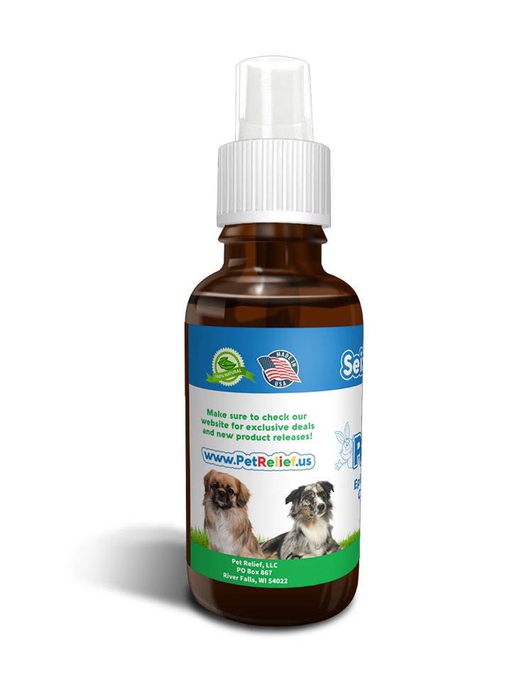 Seizure meds for sales dogs